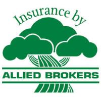Insurance by Allied Brokers image 1